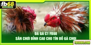Đá gà C1 FB68 – Sân chơi đỉnh cao cho tín đồ gà chọi