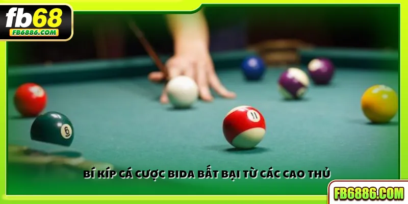 Bí kíp cá cược bida bất bại từ các cao thủ