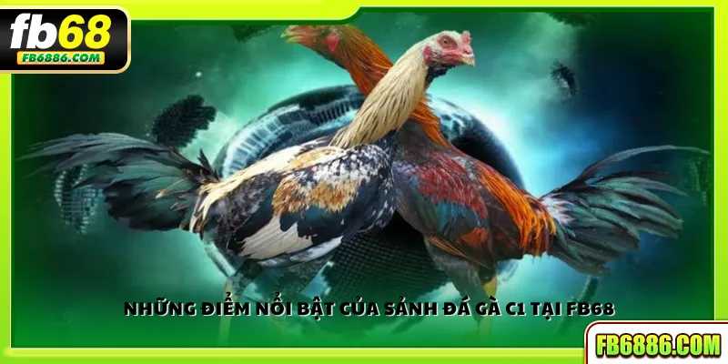 Những điểm nổi bật của sảnh đá gà C1 tại FB68