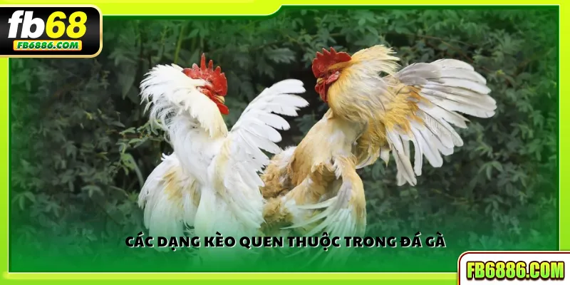 Các dạng kèo quen thuộc trong đá gà